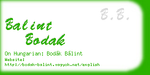 balint bodak business card